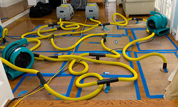 Professional Burst Pipe Water Damage technician working in Dry Ridge, OH